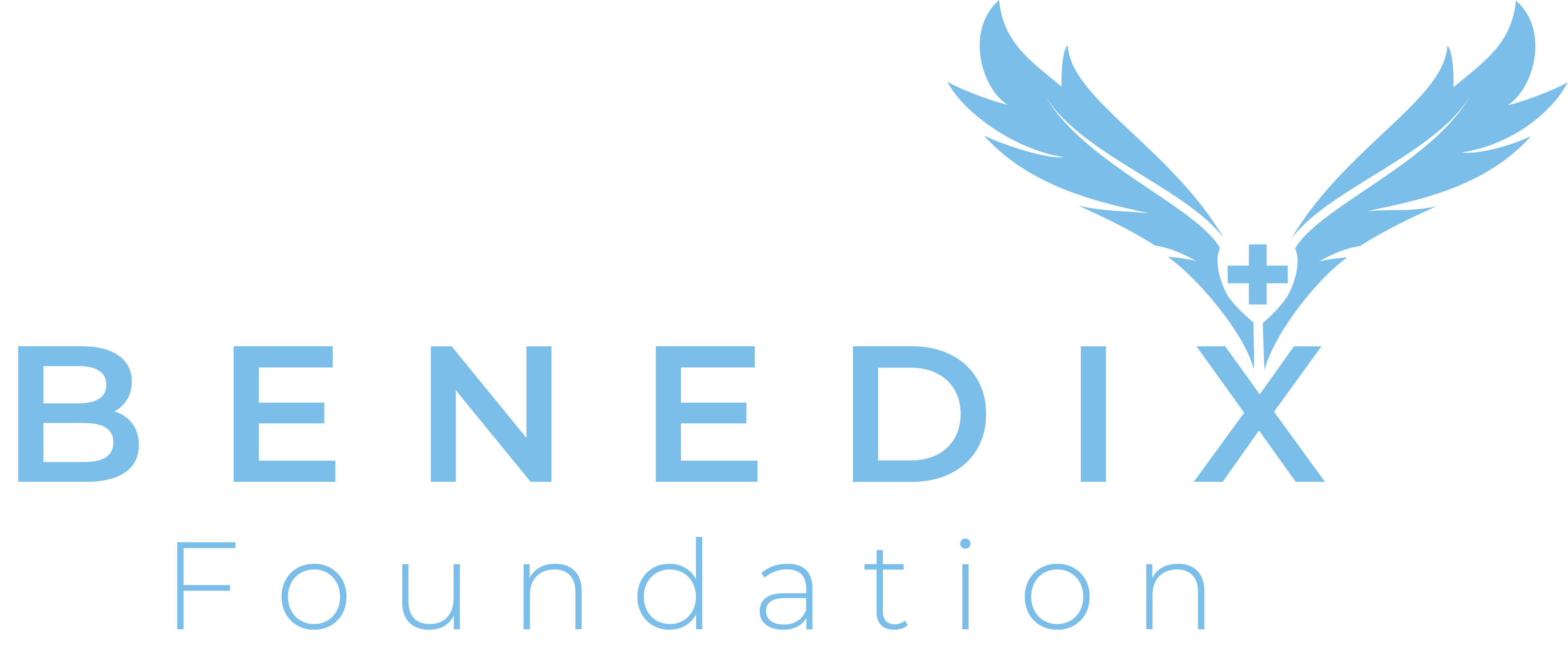 Benedix Foundation